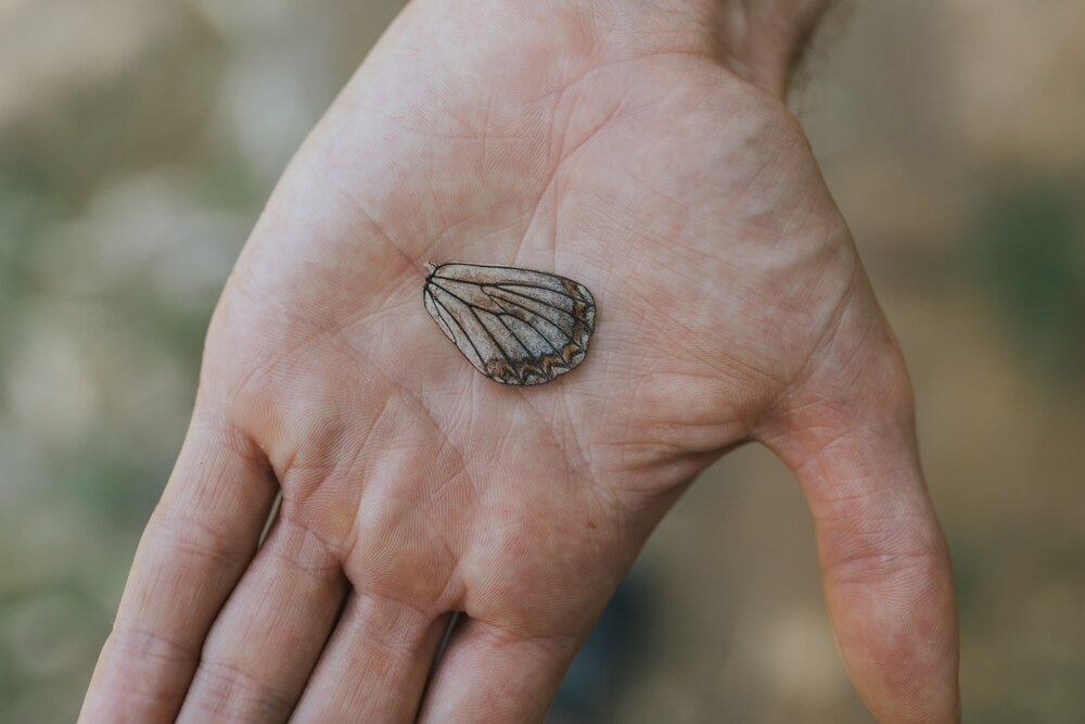 Selective focused shot of a butterfly wing in a person's hand with a blurred